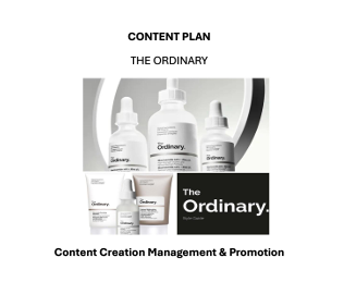 content plan strategy for the ordinary cover page